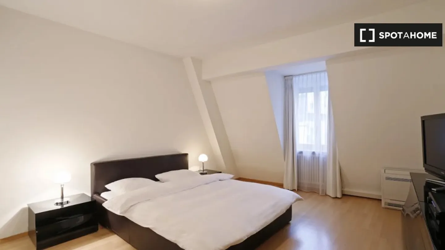 Charming Apartment in Zurich - Photo 4 of 9
