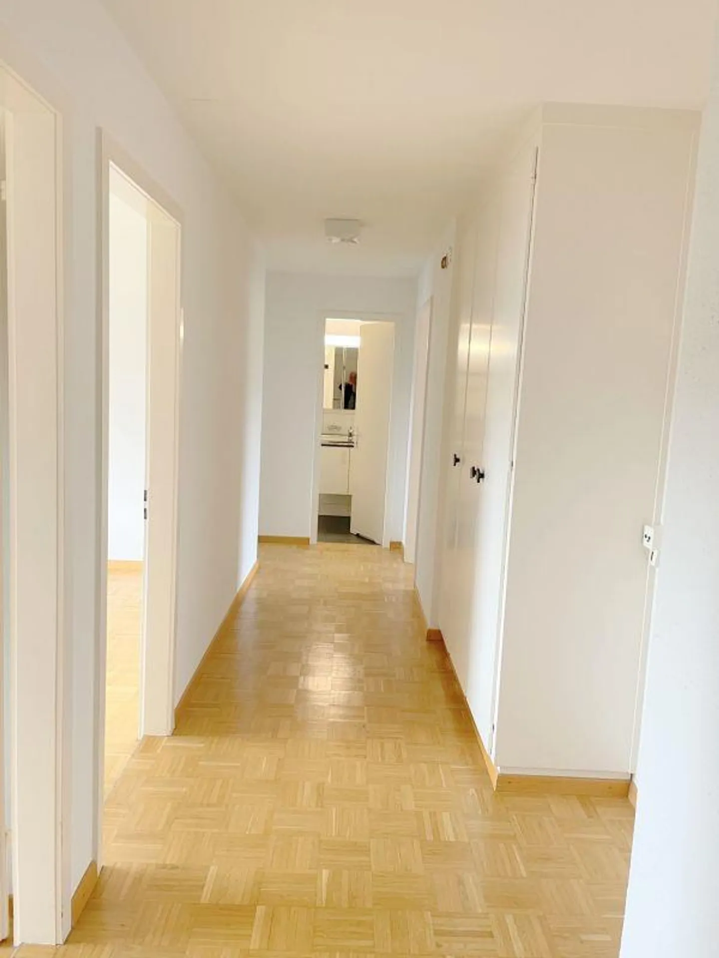 Beautiful, Quiet 3.5 Room Apartment - Photo 5 of 11
