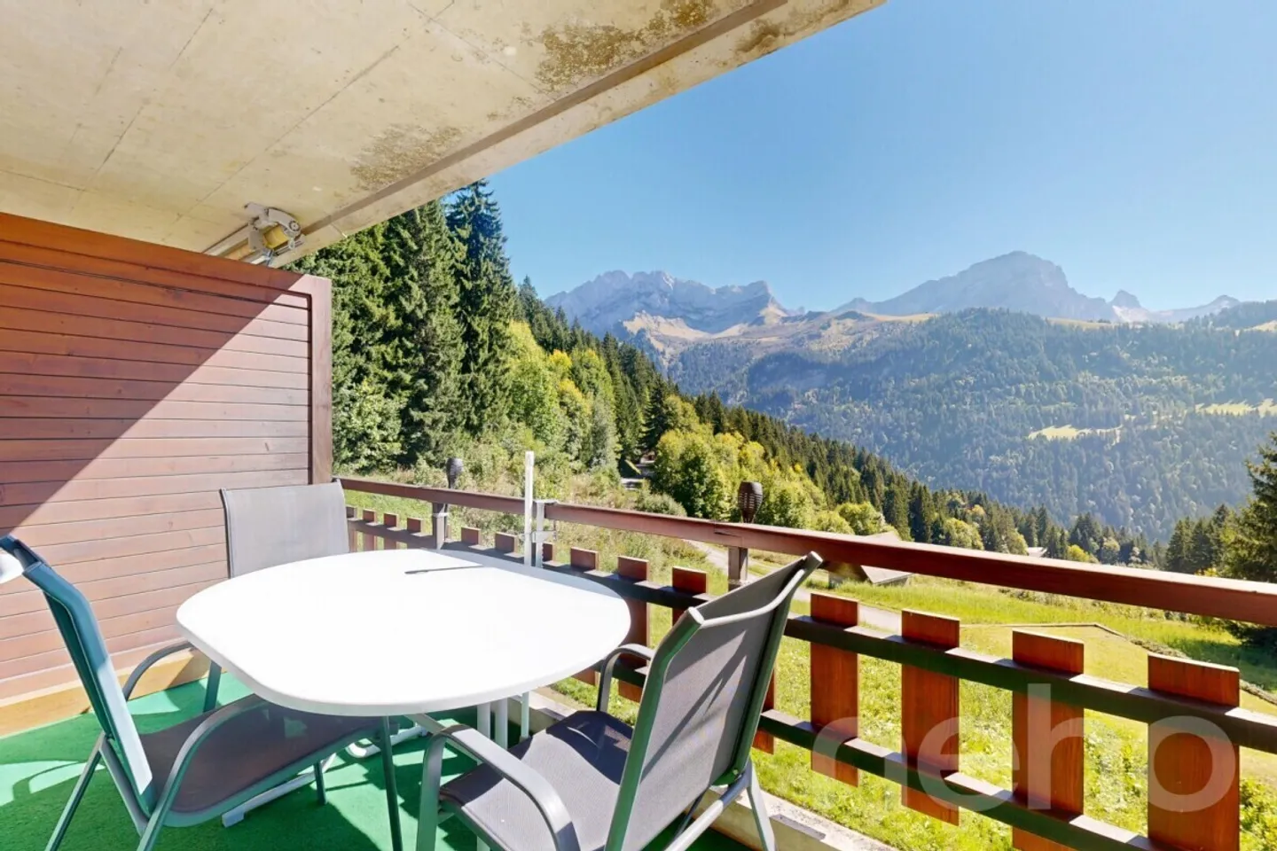 Gryon - Appartamento 2 camere - Vista sui Muverans e Dents du Midi - Foto 12 di 12