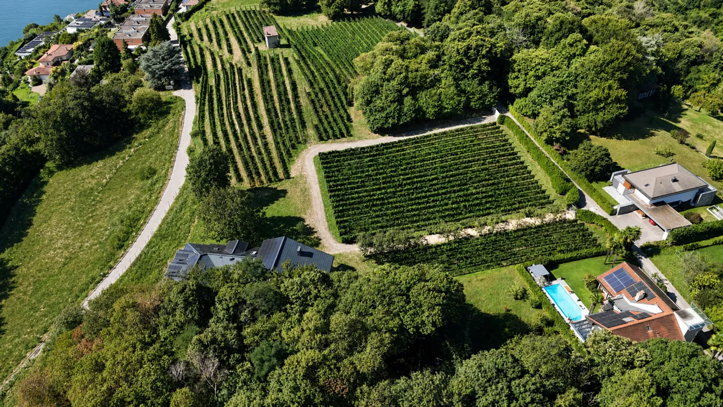 Exklusive Villa umgeben von Weinbergen mit offenem Blick auf den See - Foto 6 von 6