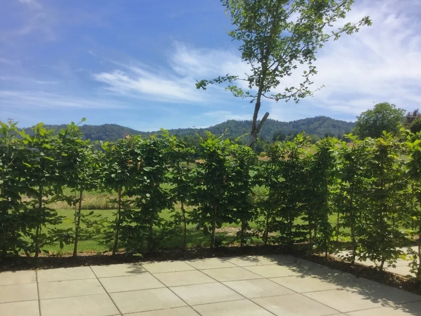 Felicità abitativa a prima vista! - Foto 9 di 9