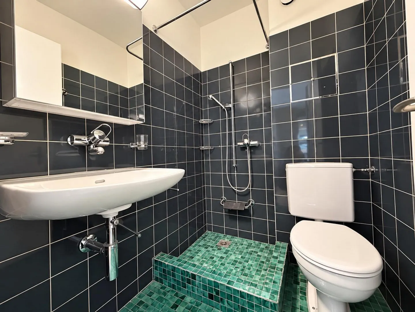 Le soleil brille ici - magnifique appartement dans la verdure vous attend! - Photo 7 sur 8