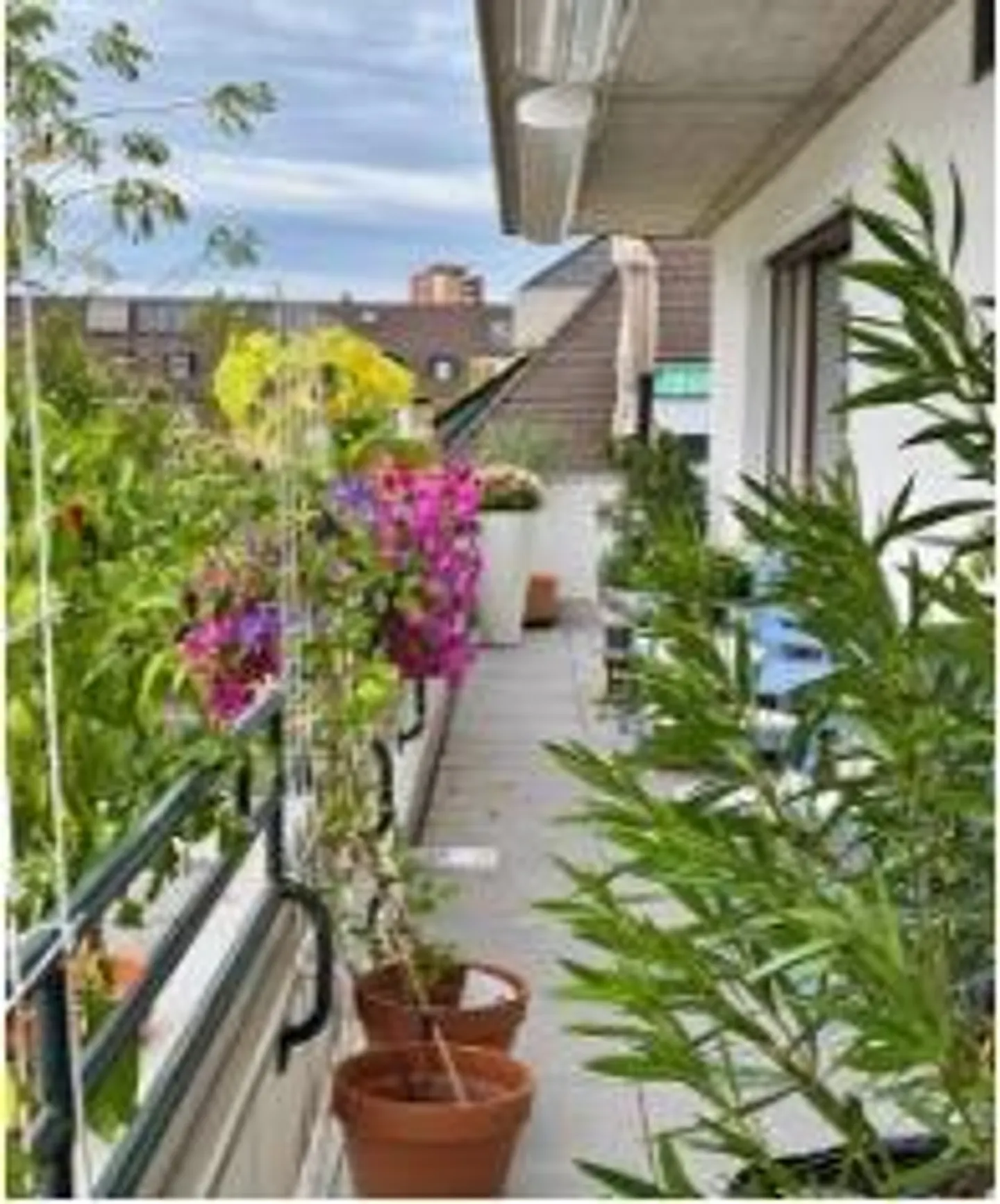 Oasis of Calm Above the Rooftops of Basel - Penthouse Apartment in Wettstein - Photo 10 of 11
