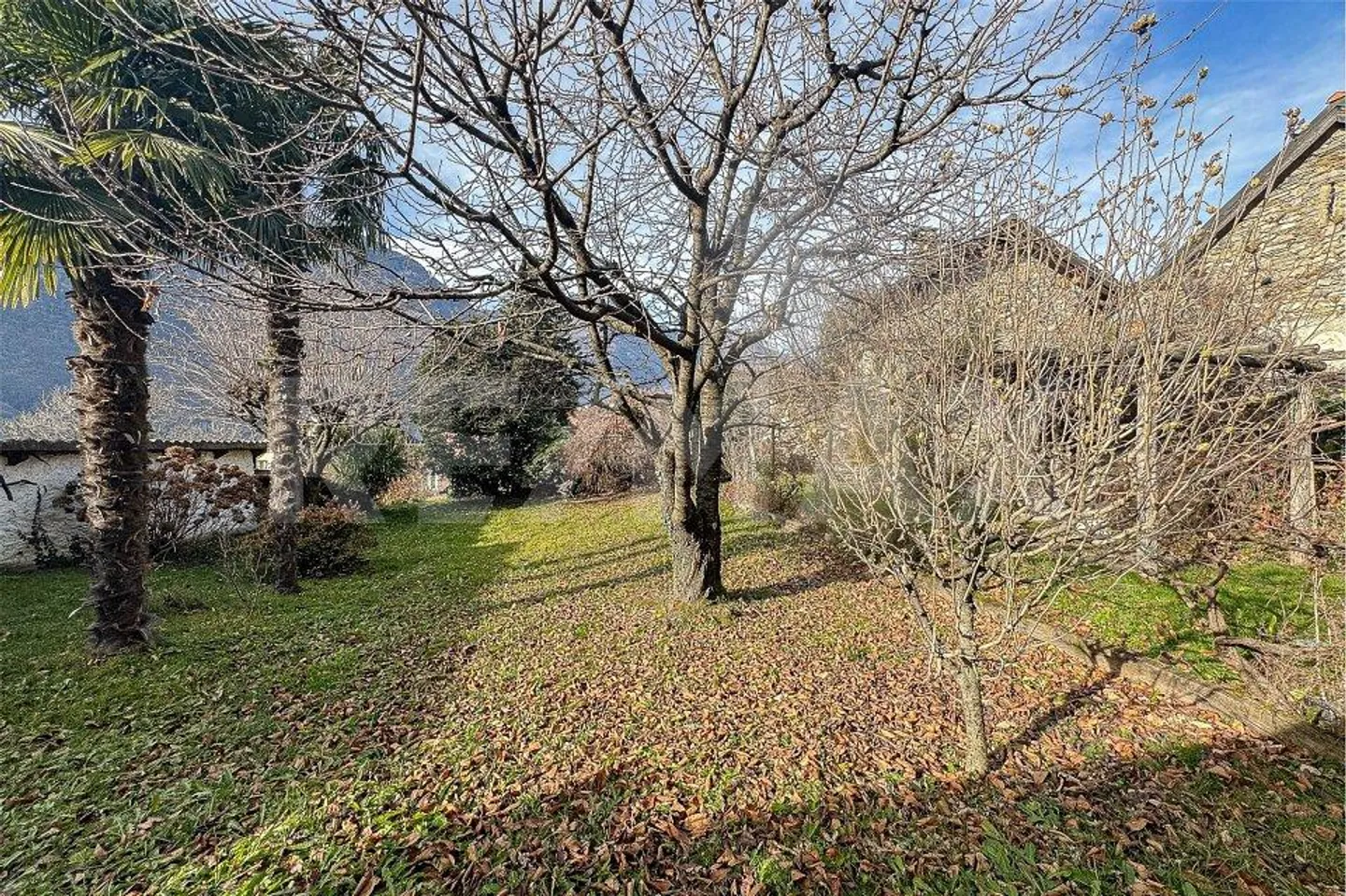 Casa con giardino da ristrutturare - Foto 6 di 12