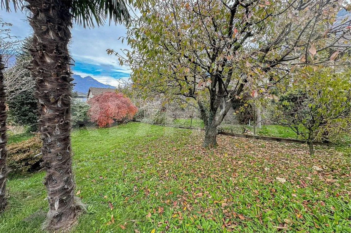 Casa con giardino da ristrutturare - Foto 5 di 12