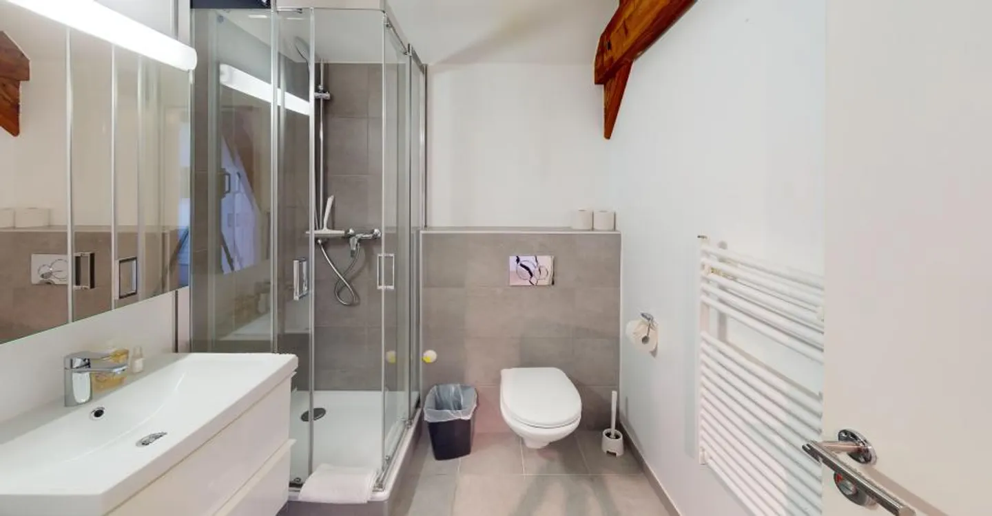 Spacious Studio in Chailly - Photo 7 of 11