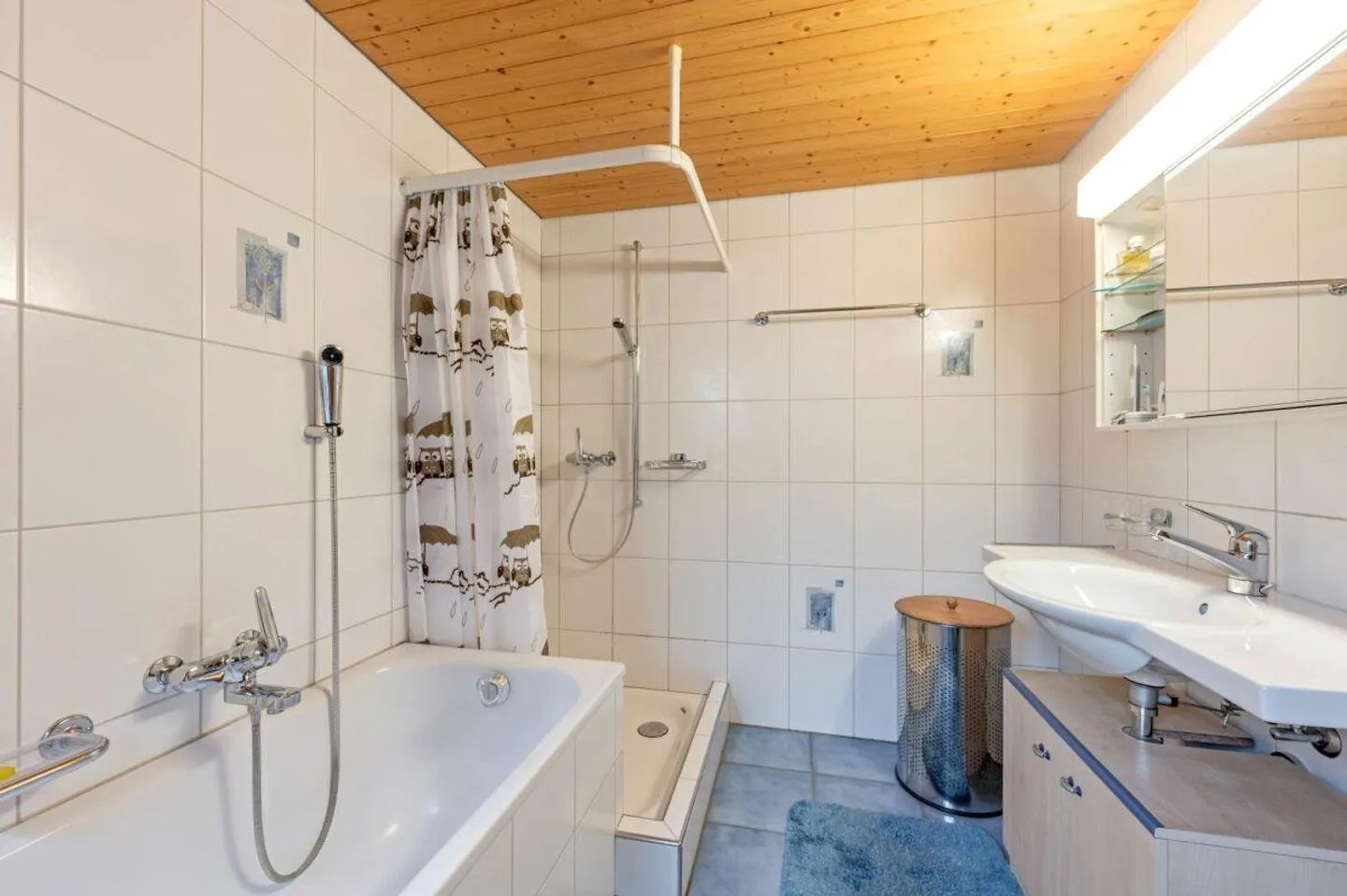 Maison résidentielle avec deux appartements de 2,5 pièces et potentiel de développement dans le calme du centre du village de Remigen - Photo 4 sur 26