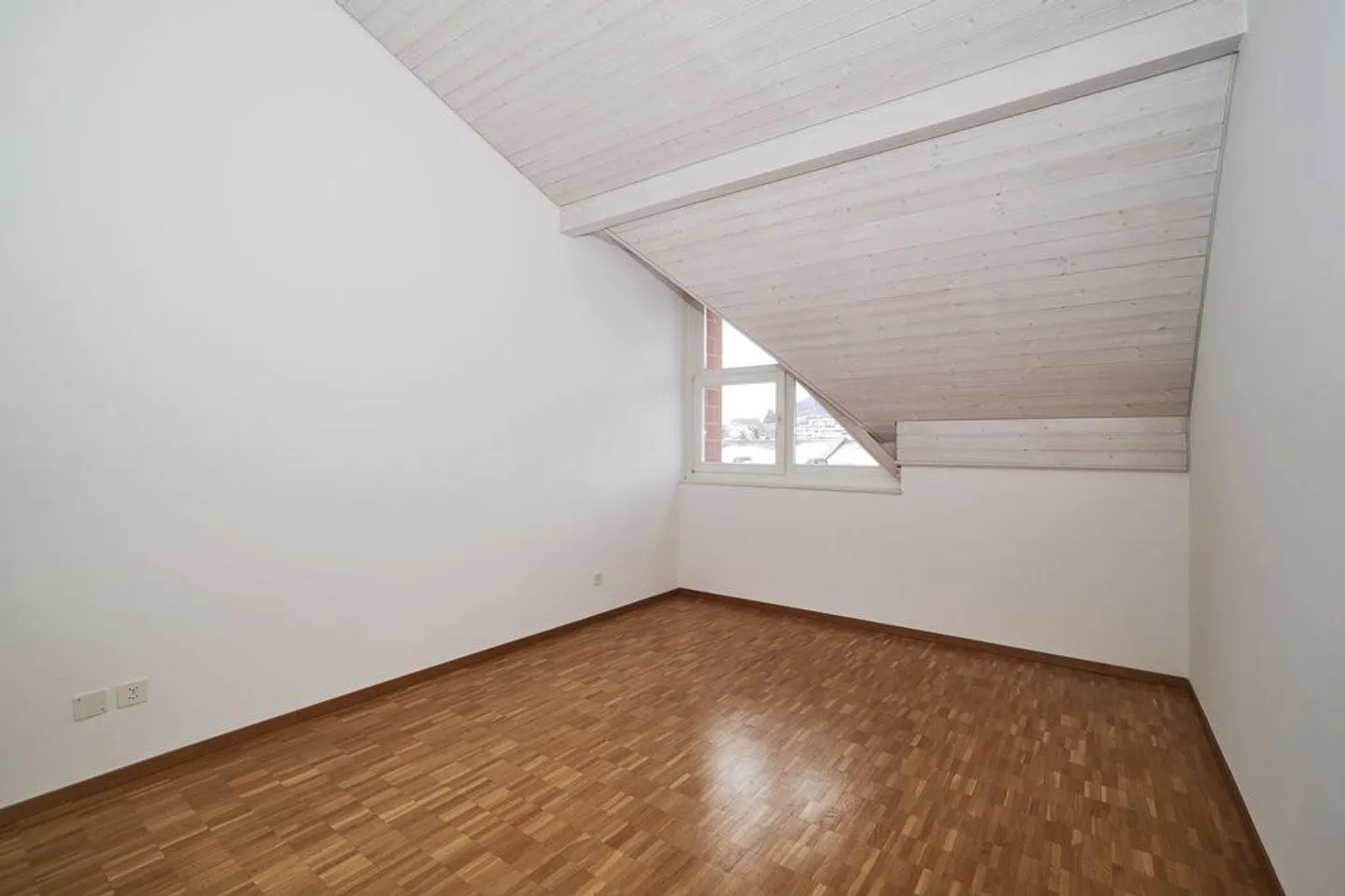 In the city and yet in the green - Photo 4 of 9