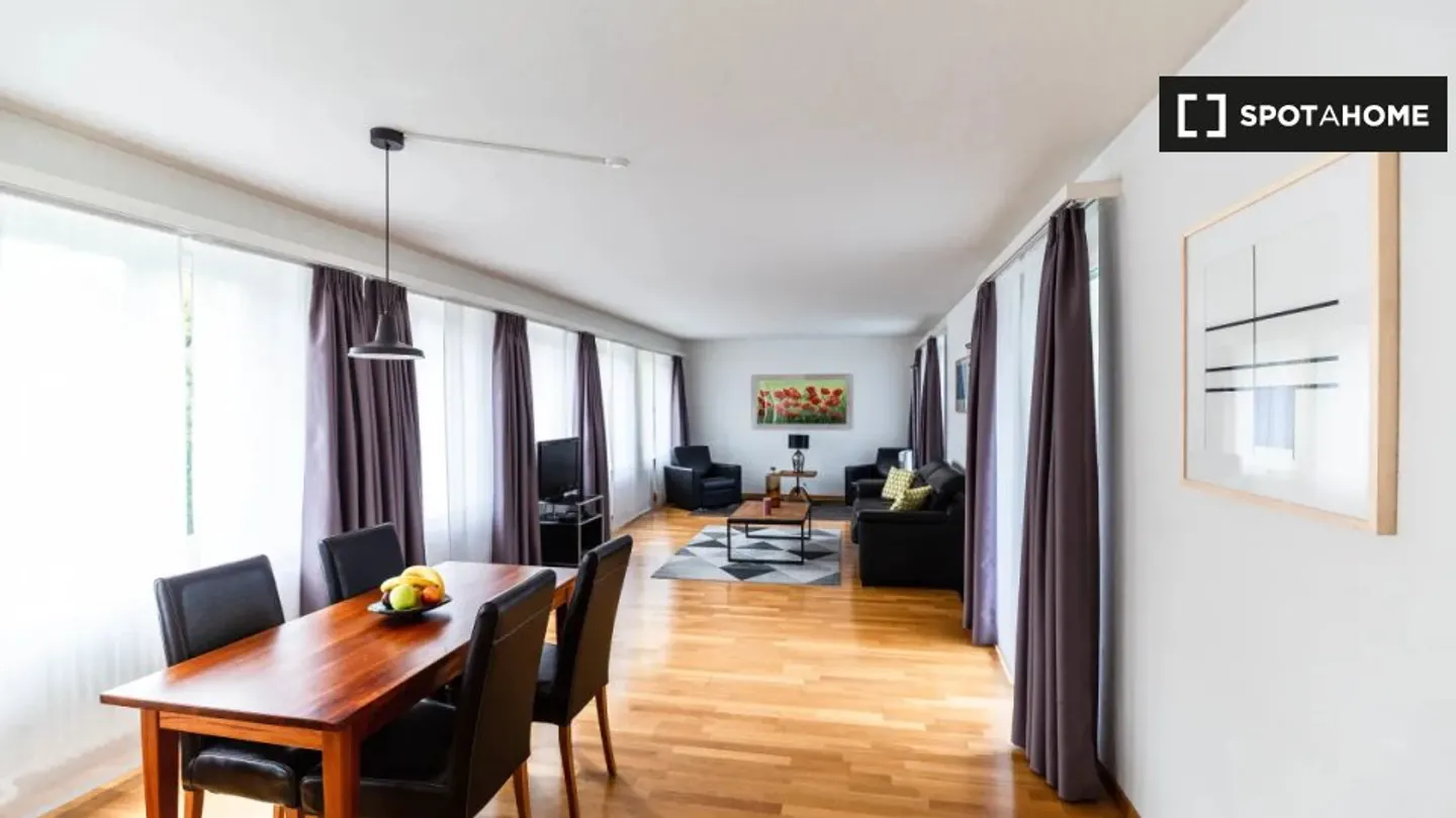 Charming Apartment in Zurich - Photo 4 of 10