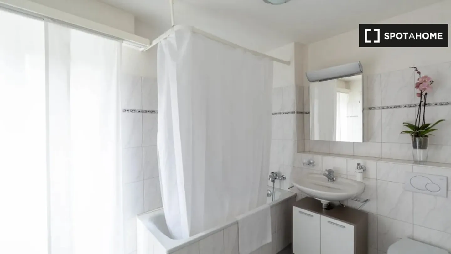 Charming Apartment in Zurich - Photo 6 of 10