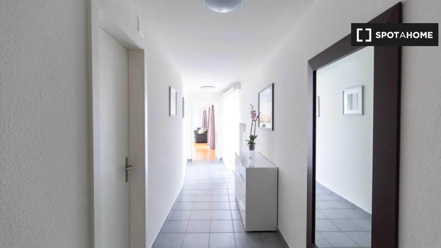 Charming Apartment in Zurich - Photo 5 of 10