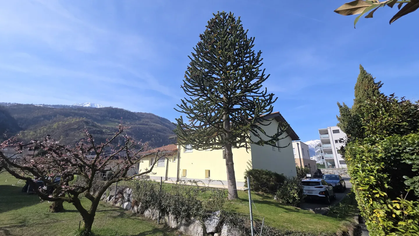 Elegance, Serenity and Art of Living - Photo 1 of 13