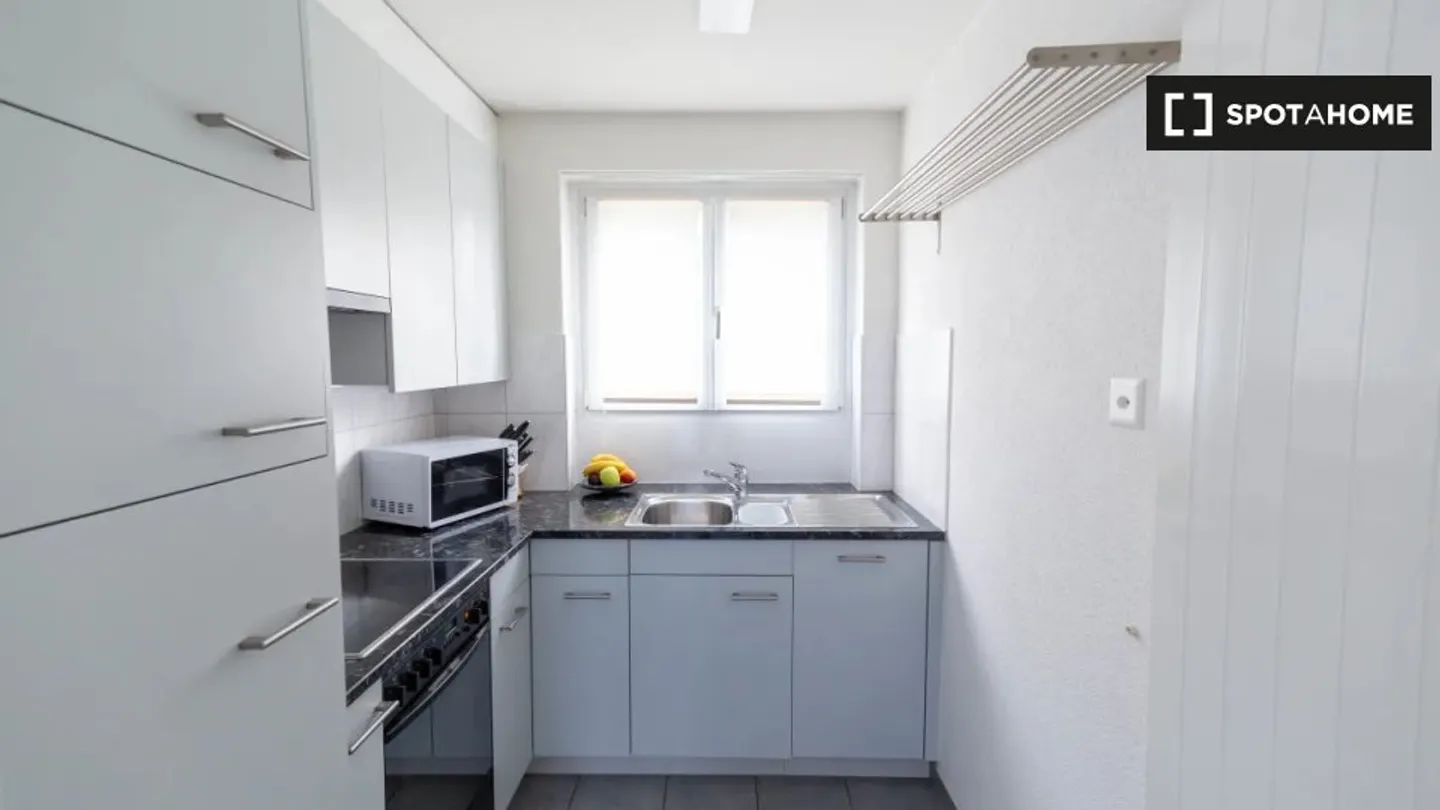 Charming Apartment in Zurich - Photo 10 of 10