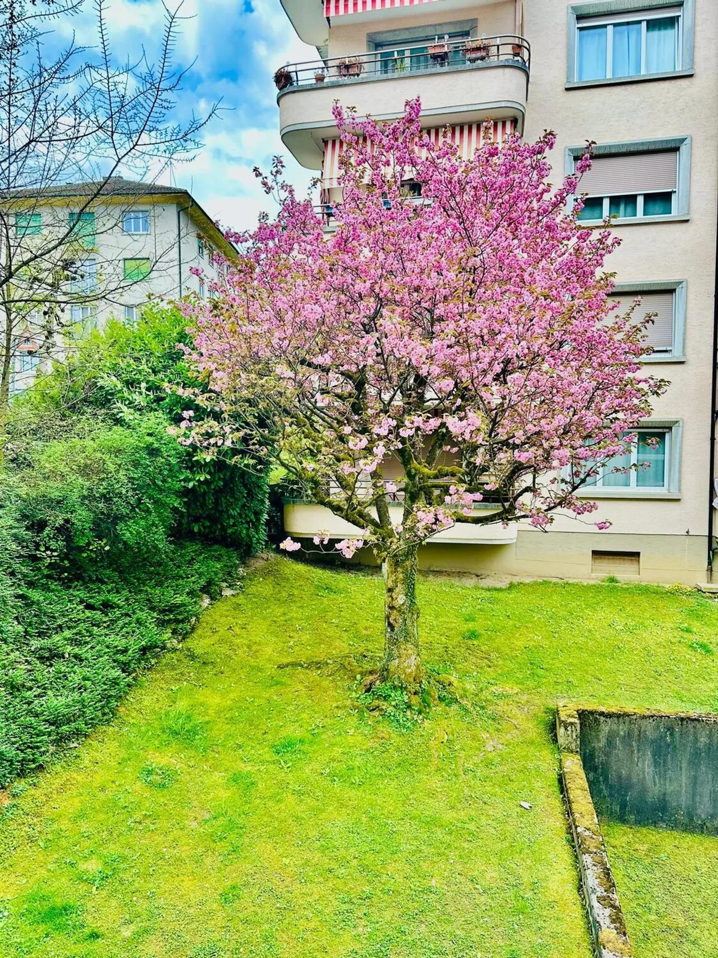 Appartement moderne avec commodités - Photo 10 sur 10