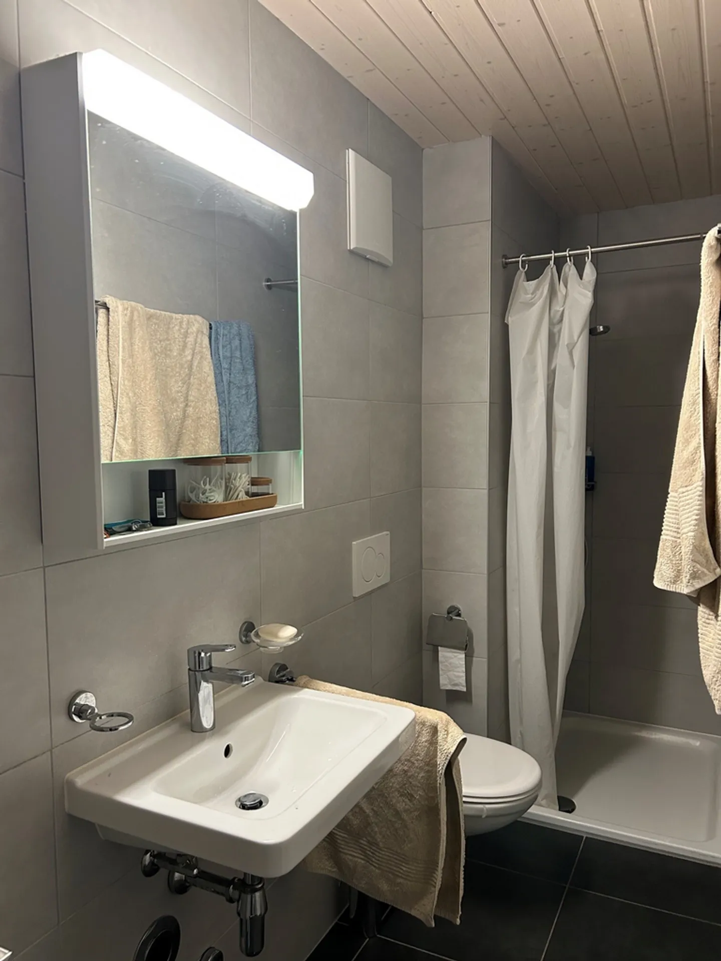 Appartamento 4.5 stanze - Foto 8 di 9