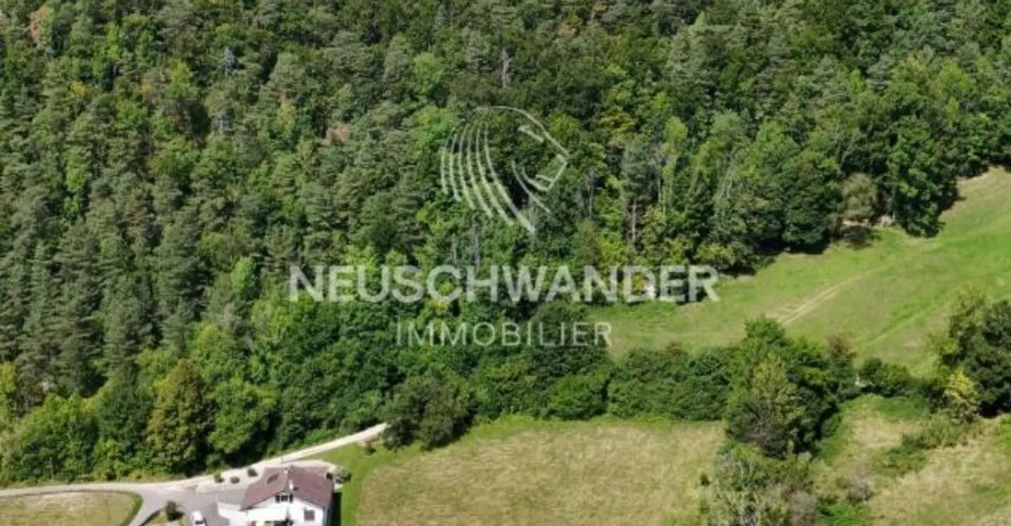 Geräumiges Baugrundstück in Val Terbi - Foto 2 von 3
