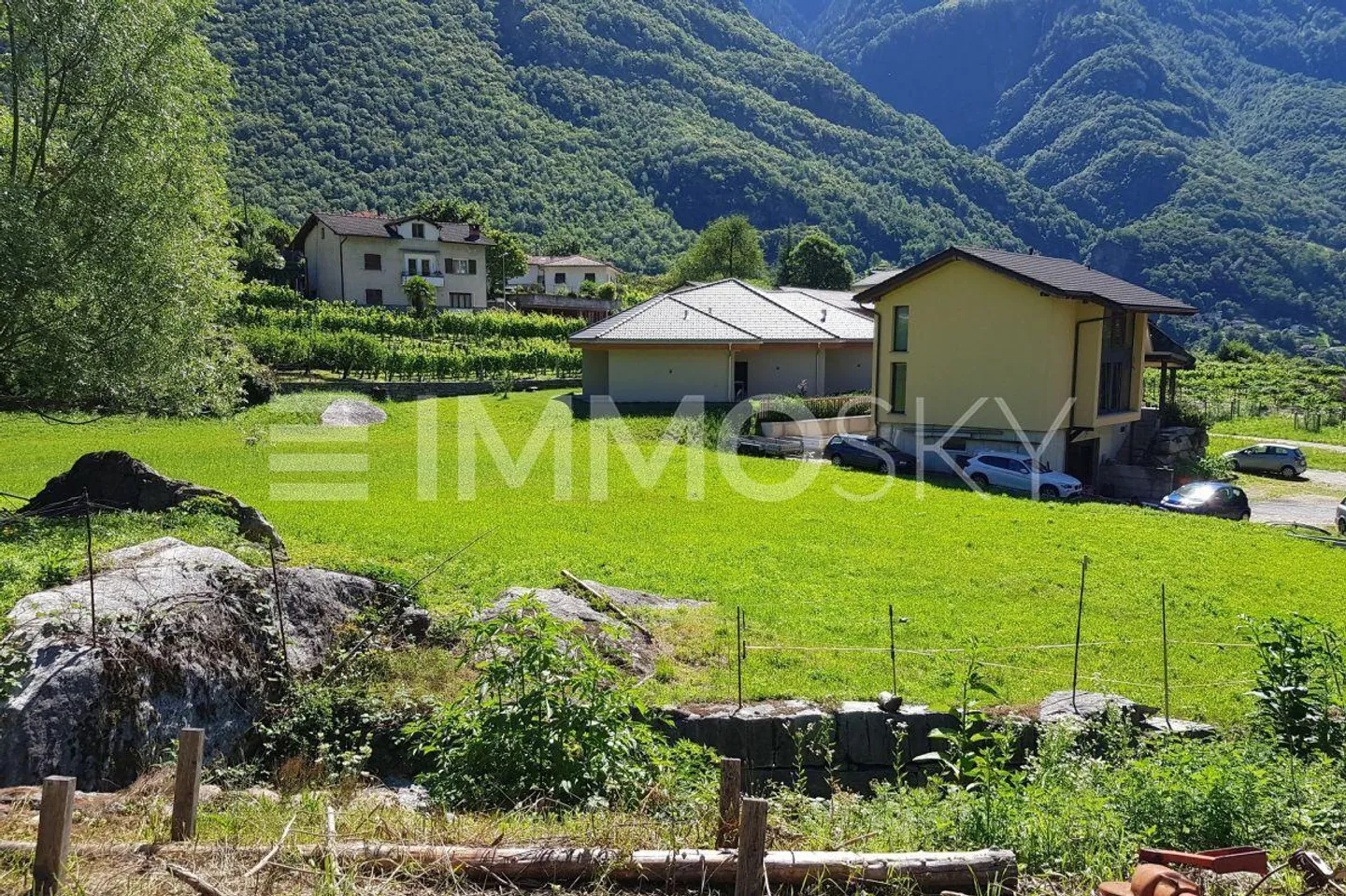 Zwischen Sonne und Natur - Foto 4 von 5