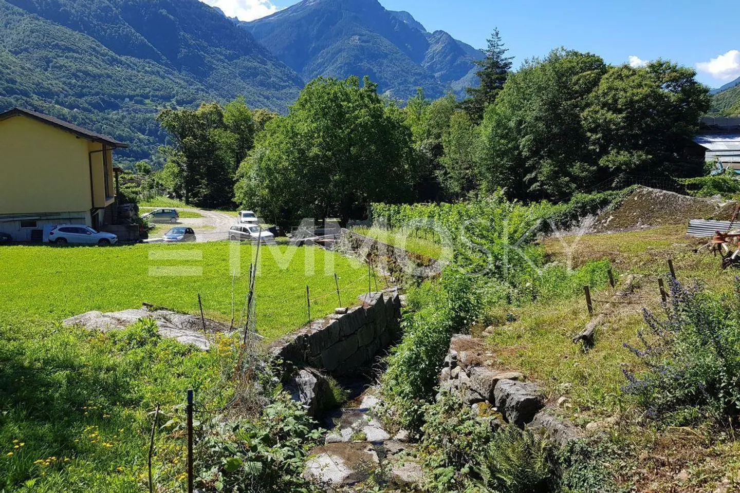 Zwischen Sonne und Natur - Foto 1 von 5