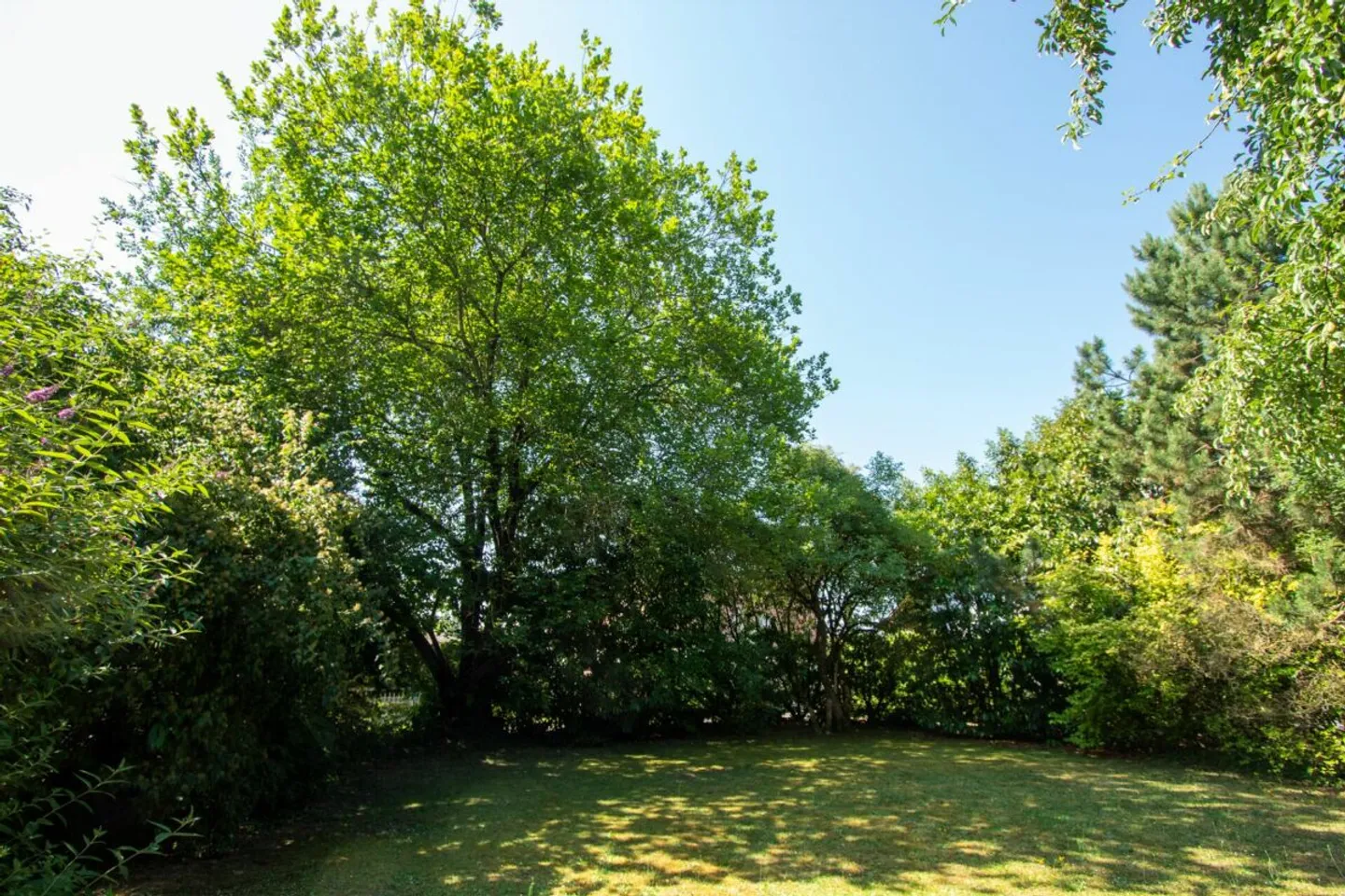 Charming Family Home with Land - Photo 4 of 25