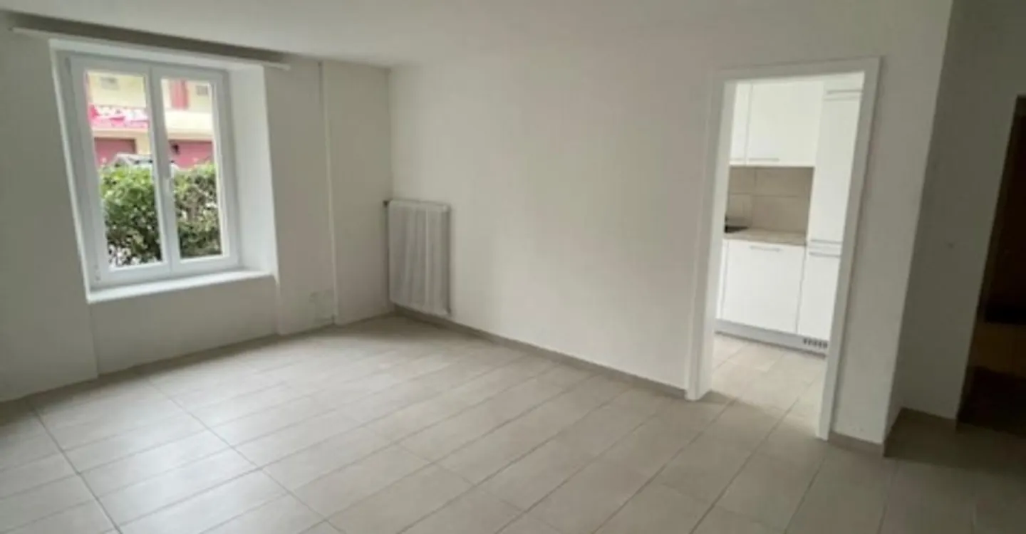 Charmant Appartement Rénové - Photo 4 sur 10