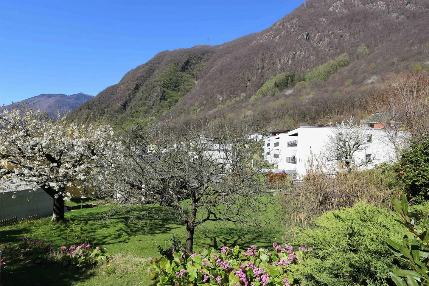 New large 4.5 room holiday apartment with lawn area - Photo 11 of 13