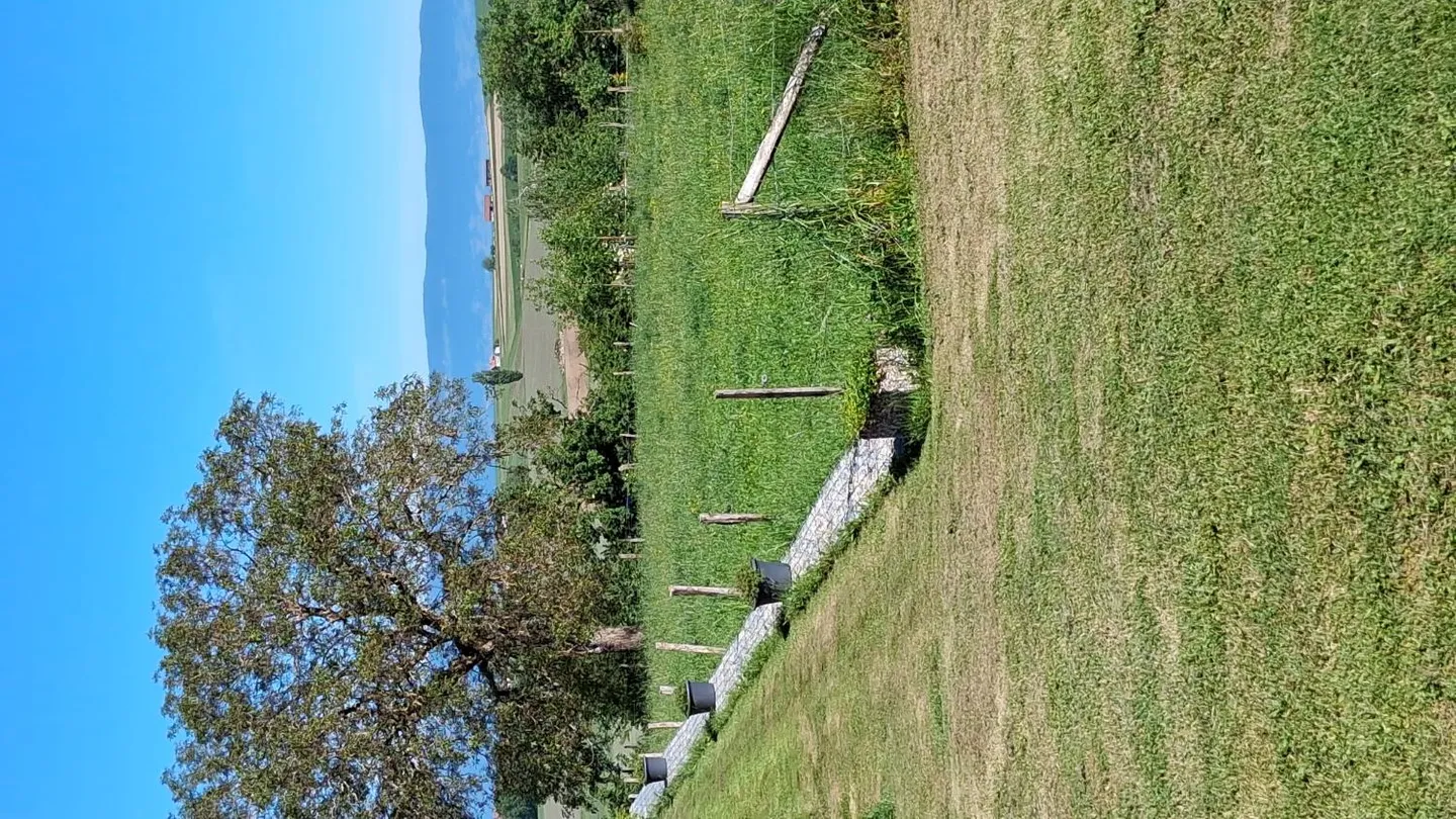Deposito - Foto 7 di 7