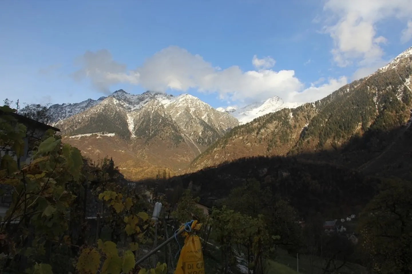 Building Land in Beautiful, Sunny Location with a View - Photo 6 of 6