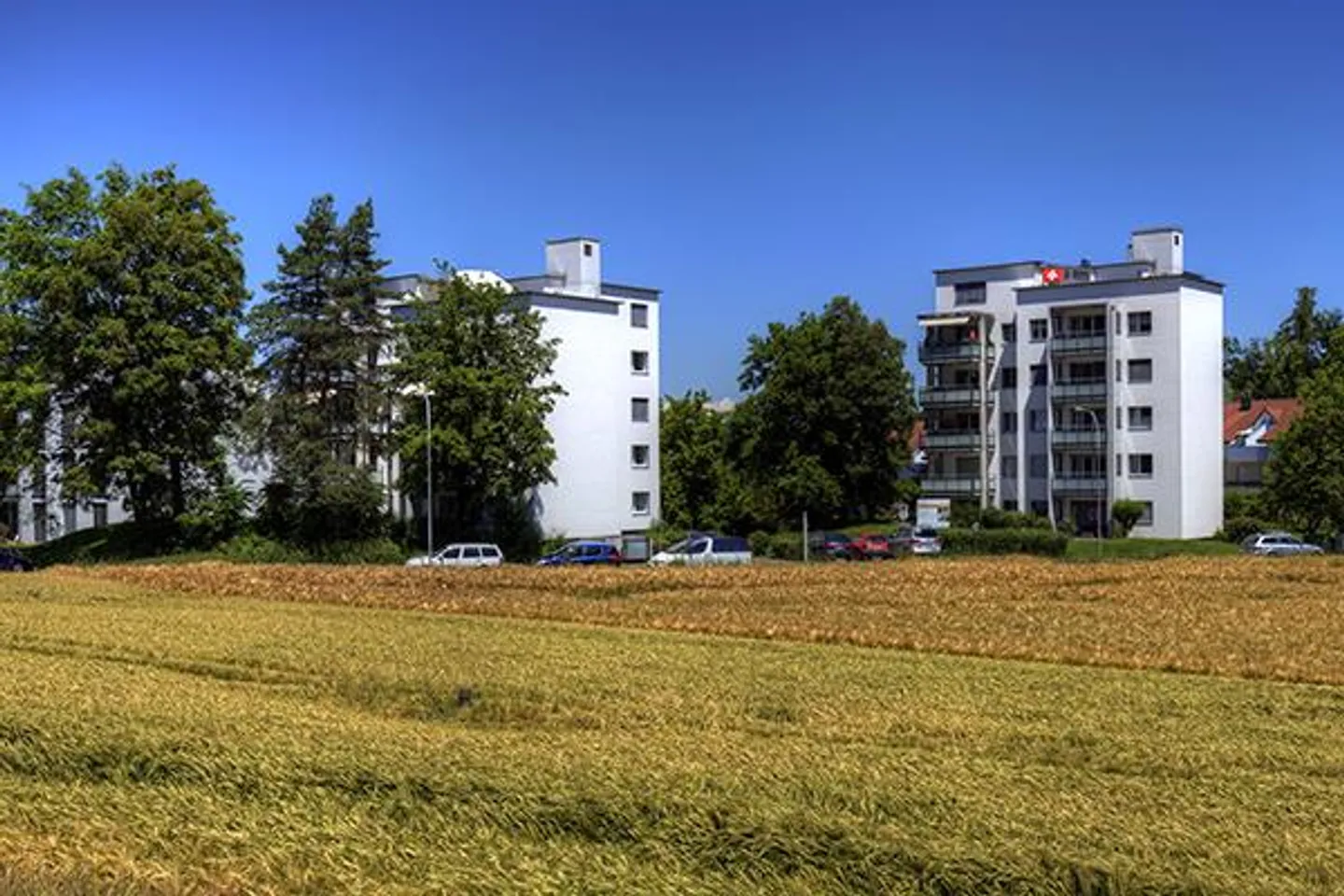 Geräumige Familienwohnung - Foto 2 von 13