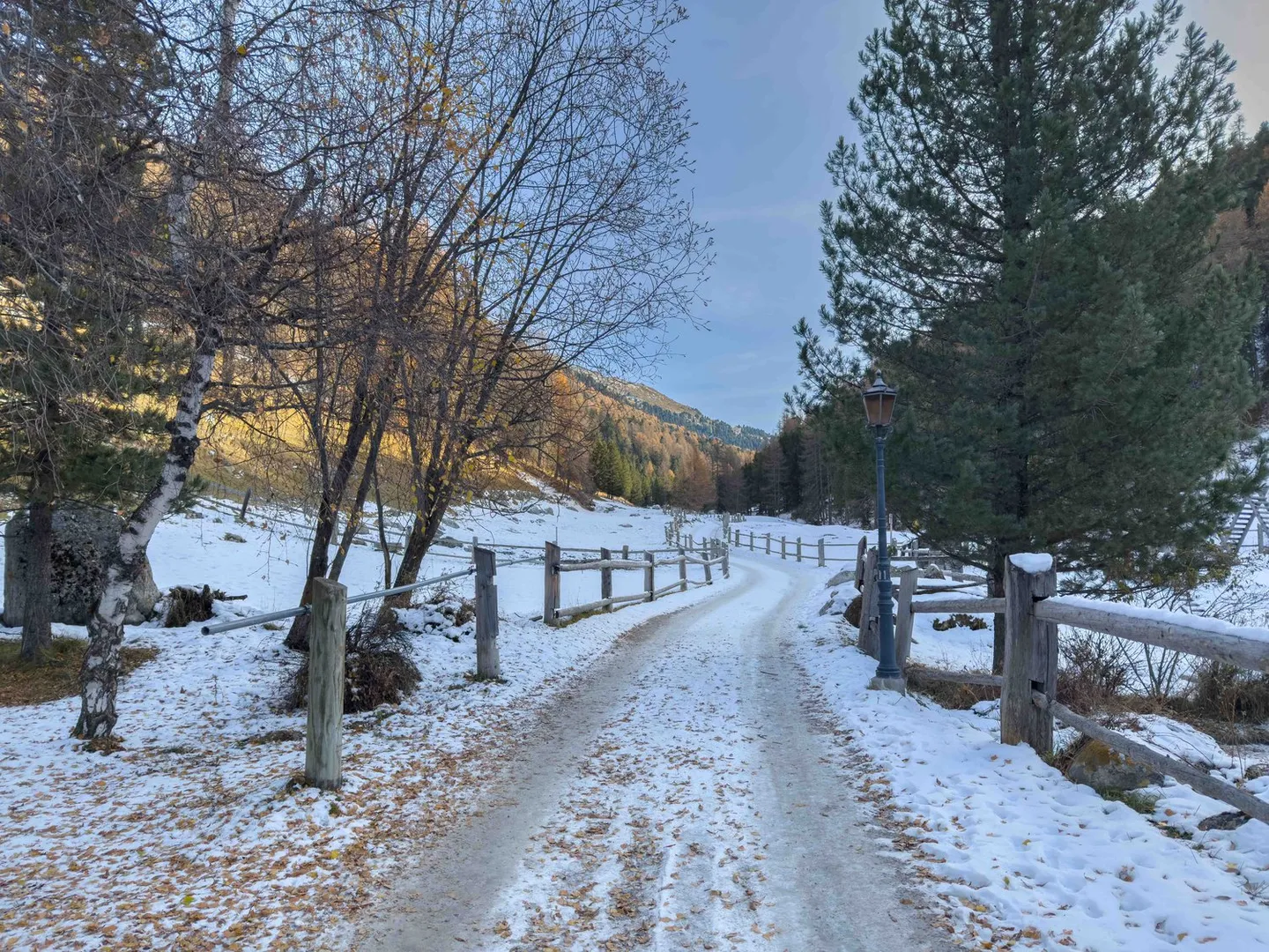 Chalet im Schweizer Nationalpark - Foto 1 von 12