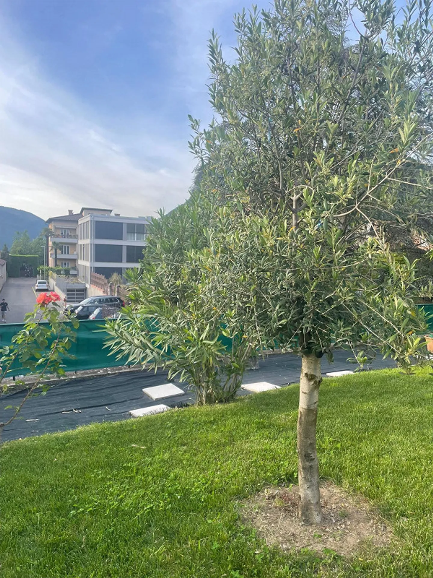 VILLA IM STIL IM ZENTRUM VON MENDRISIO, GARTEN, DOPPELGARAGE UND PARKPLÄTZE - Foto 20 von 28