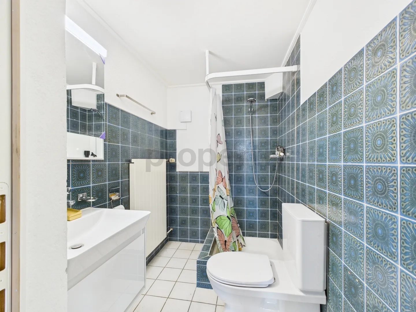 Dreamlike apartment with breathtaking views in Zurzach, Canton AG - Photo 7 of 8