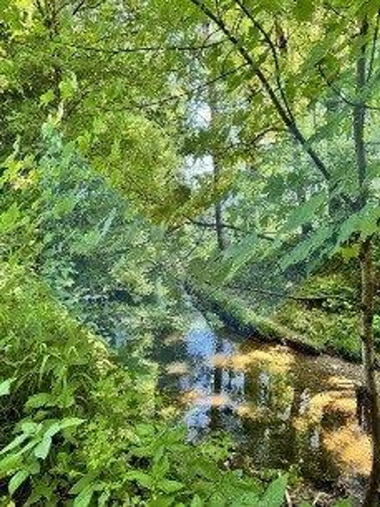 Wunderschöner 3,5-Zimmer-Duplex, 2025 renoviert, im Herzen der Natur - Foto 13 von 13