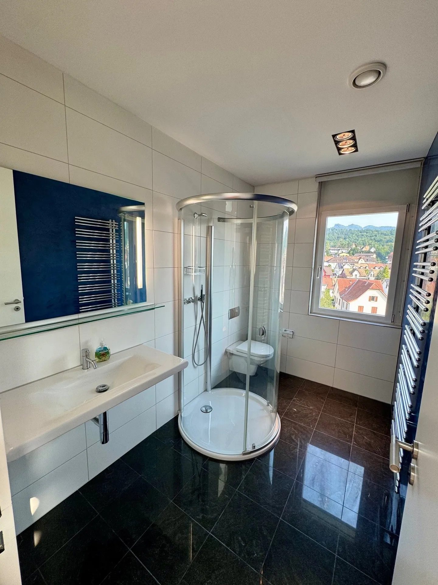 Unique in Olten: 5.5-room penthouse apartment with separate 2-room apartment & 250 m² terrace - Photo 3 of 19
