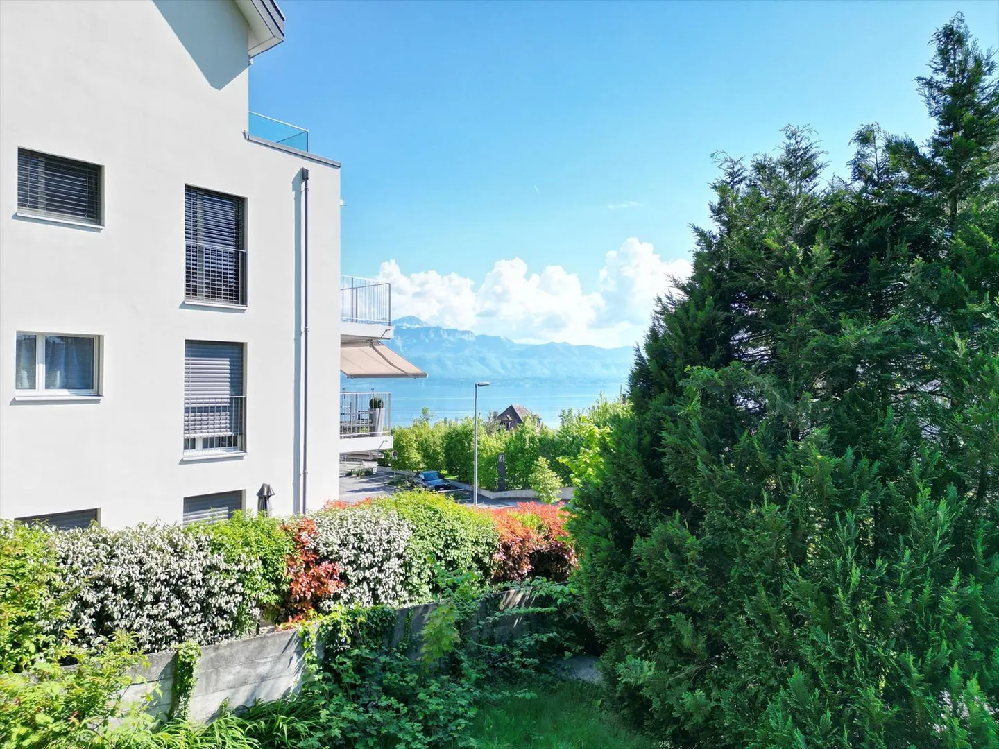 Introductory Price - Photo 3 of 11