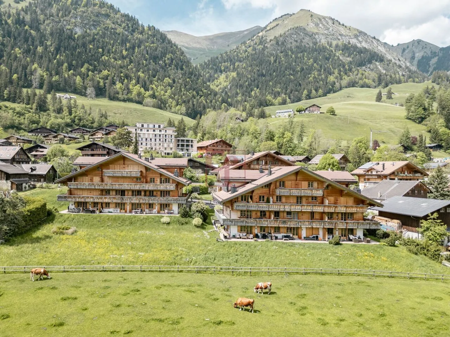 Appartement moderne à Château-d'Oex - Photo 1 sur 7