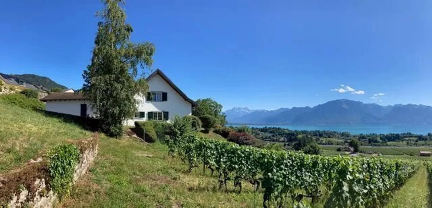 Magnificent villa of 7 rooms on 3 levels - Photo 6 of 12