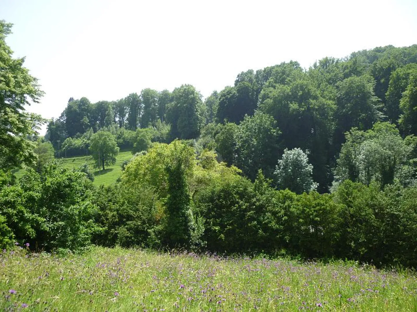 Appartamento 2.5 locali - Foto 2 di 6