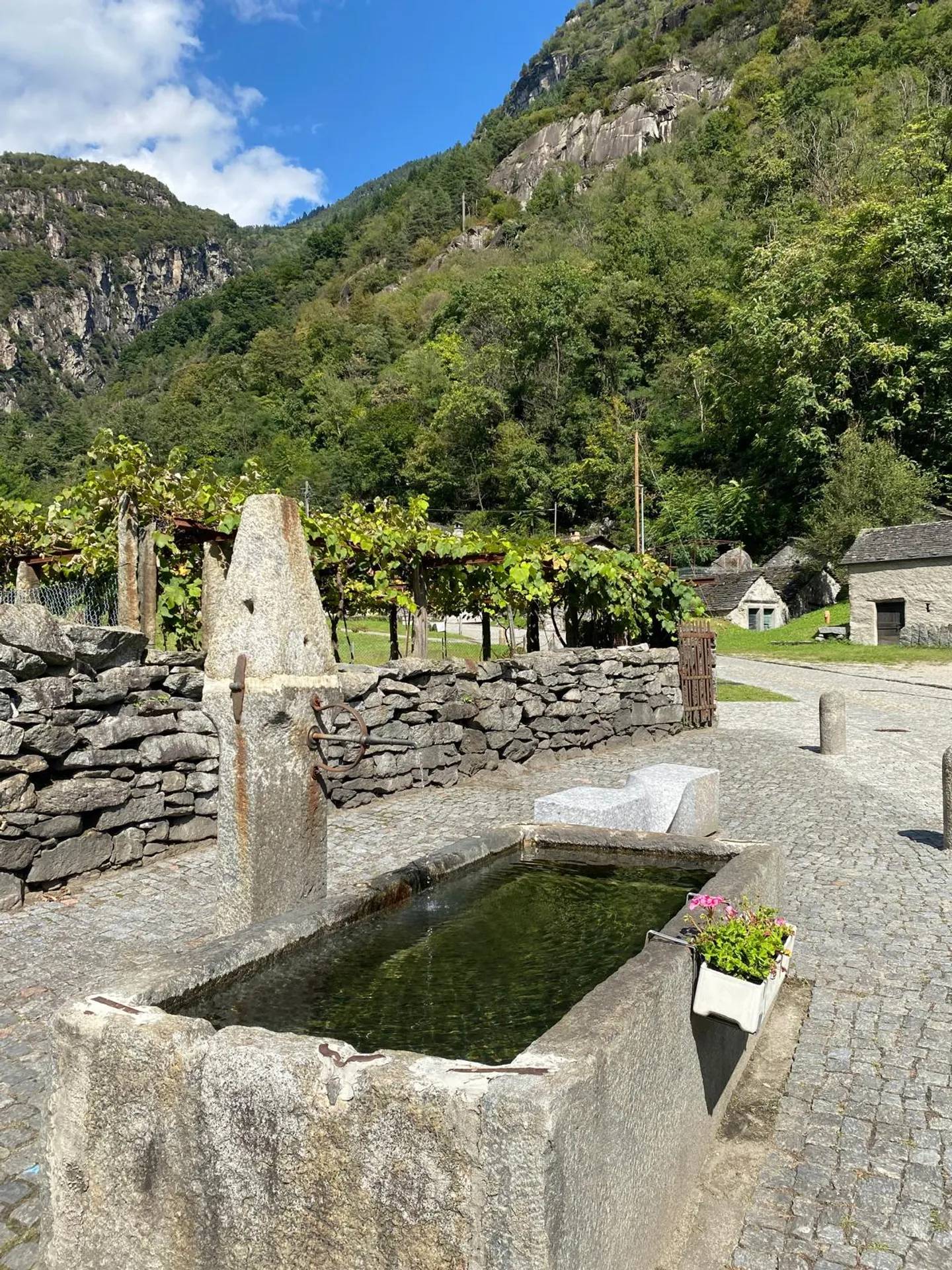 Appartamento con vista e garage a Bodio - Foto 21 di 23