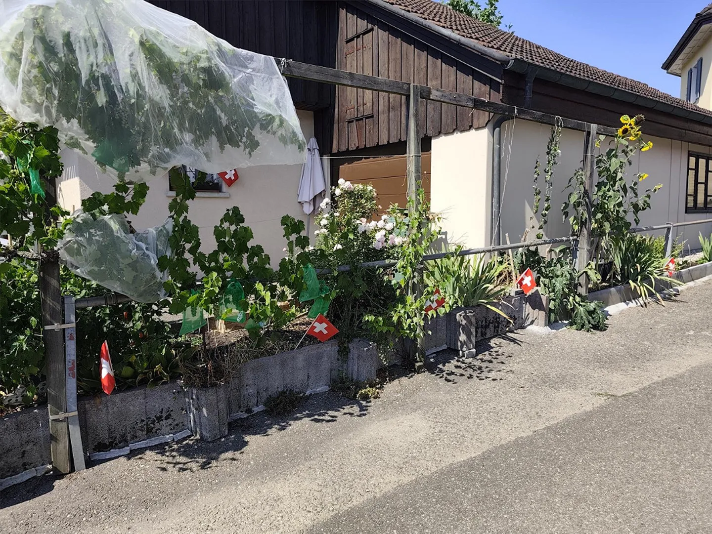 Thurgauer Chalet im Dorf - Foto 12 di 14