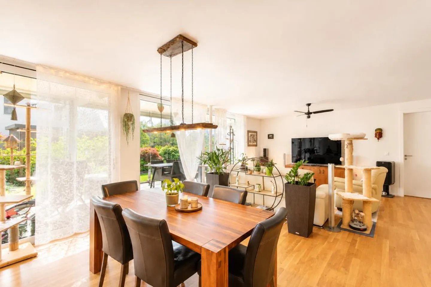 Vivere idilliaco con bellissima serra - Foto 3 di 9