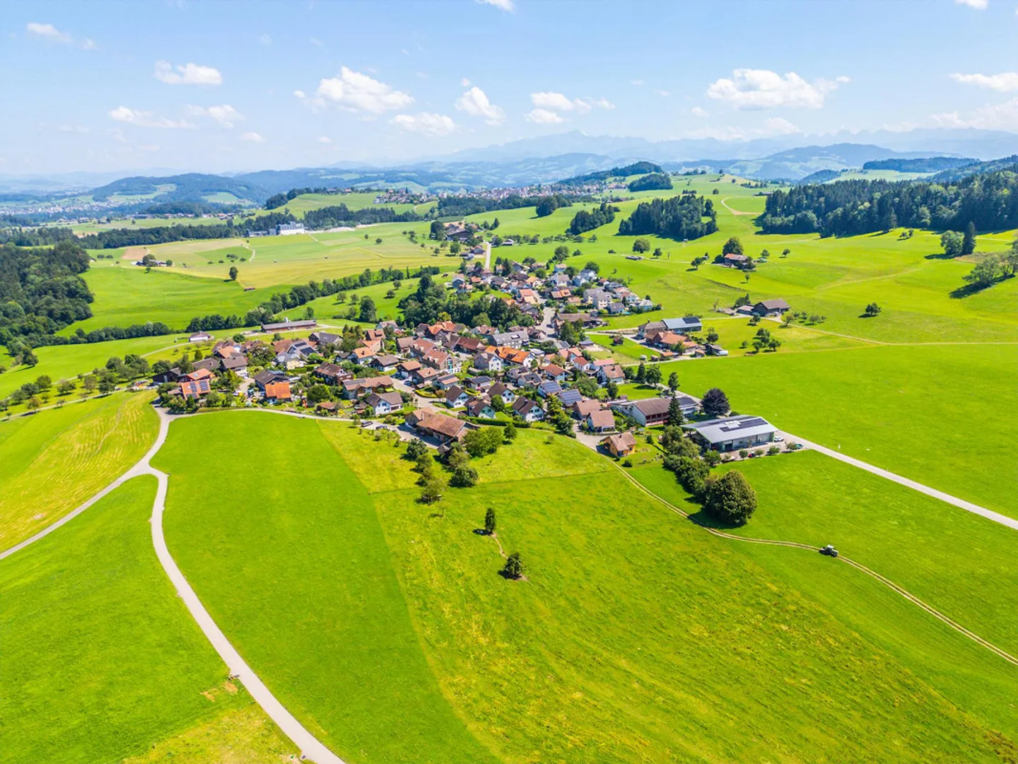 Nuova costruzione Vista Raccolto: esperienza abitativa unica con altezze fino a 5 m - Foto 3 di 7