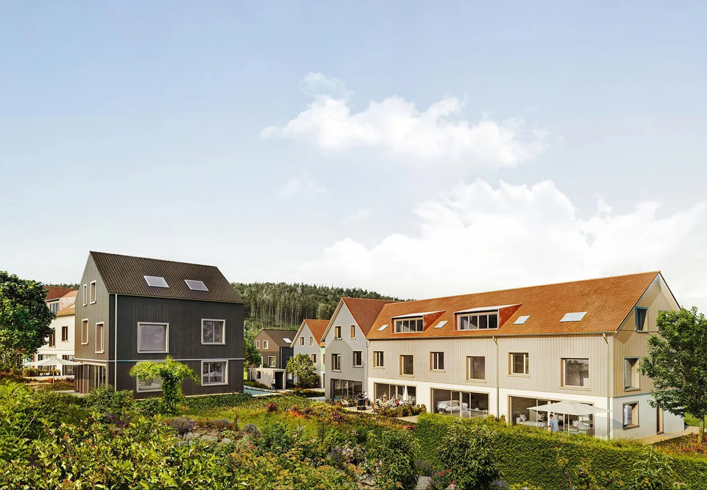 Nuova costruzione Vista Raccolto: esperienza abitativa unica con altezze fino a 5 m - Foto 4 di 7