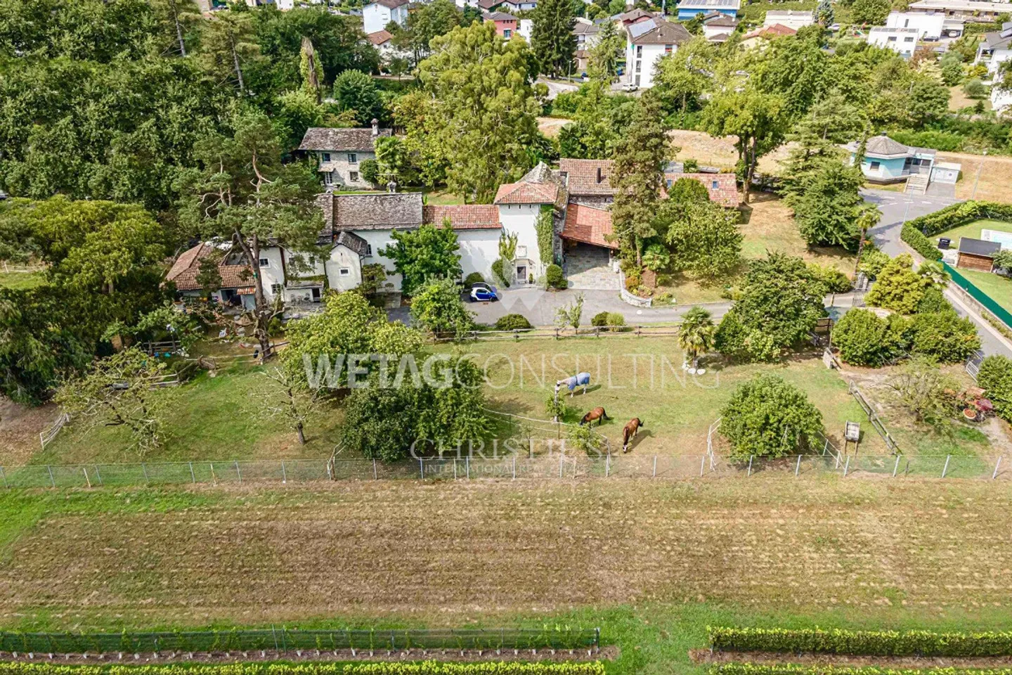 Stupenda villa con grande parco e casa per gli ospiti in vendita a Cugnasco - Foto 2 di 13