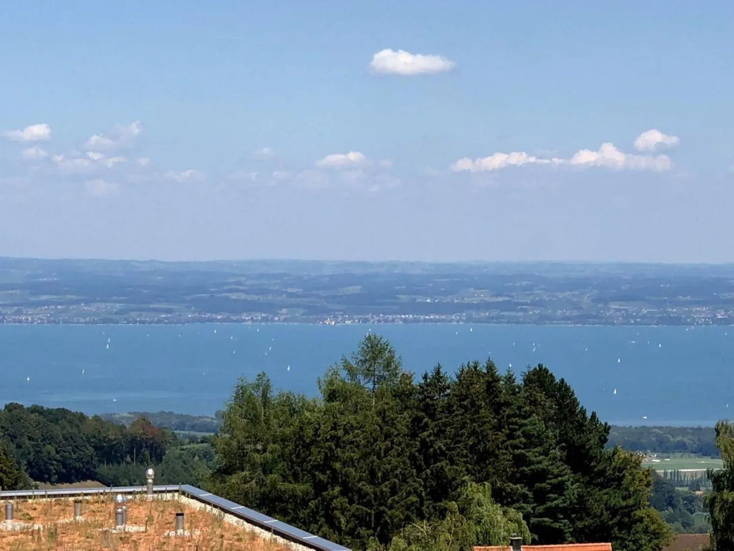 3-Zimmerwohnung unterhalb Hirslandenklinik - Foto 1 von 16