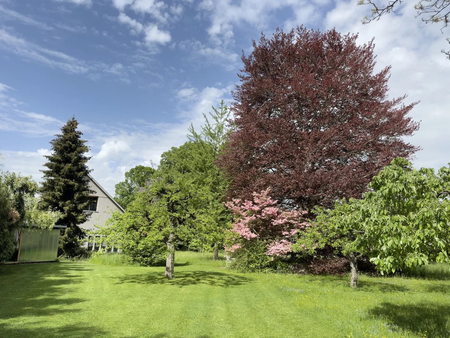 Condominium unique de 4 pièces avec balcon ensoleillé dans le parc du château - Photo 31 sur 34