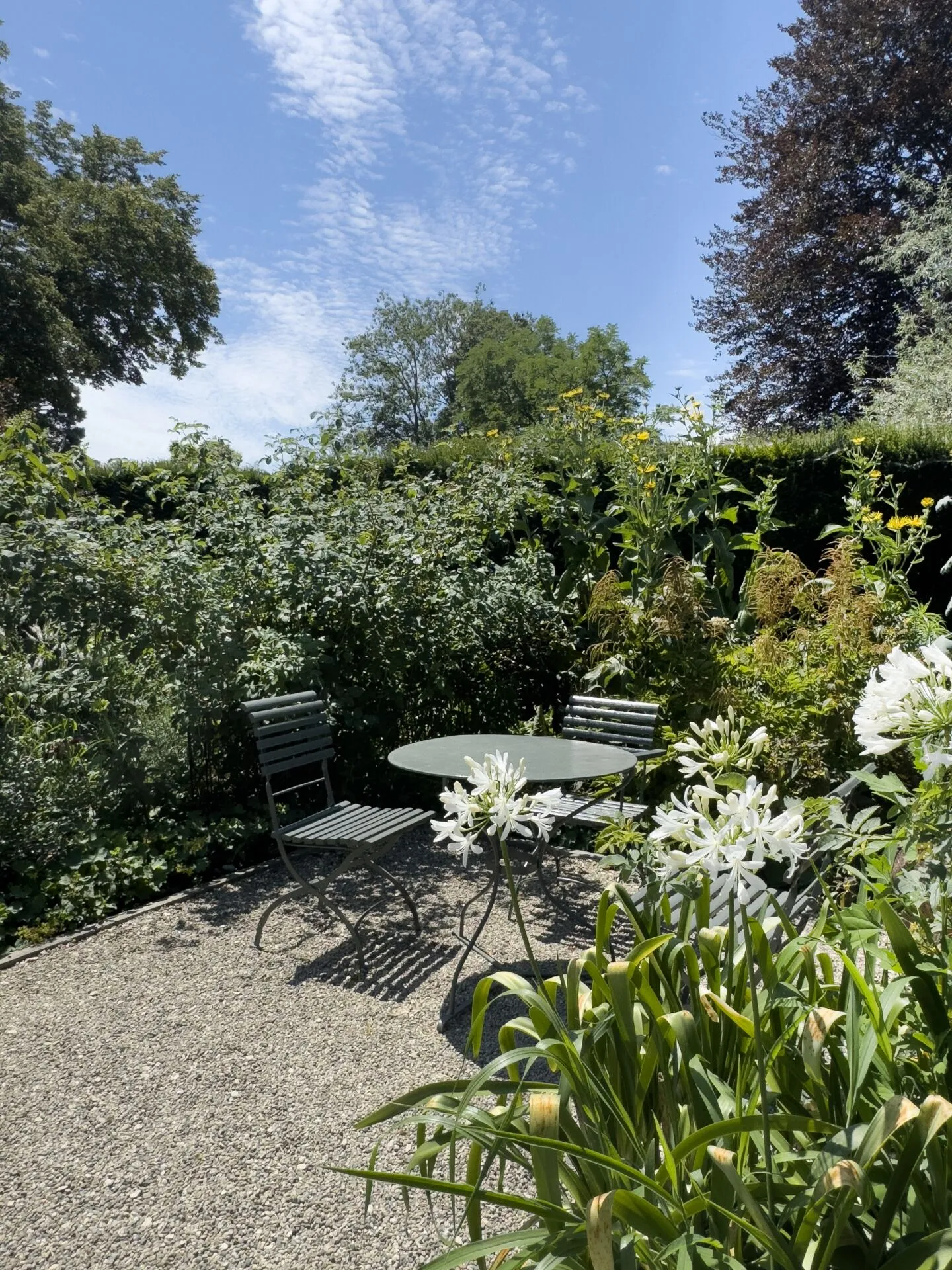 Condominium unique de 4 pièces avec balcon ensoleillé dans le parc du château - Photo 29 sur 34