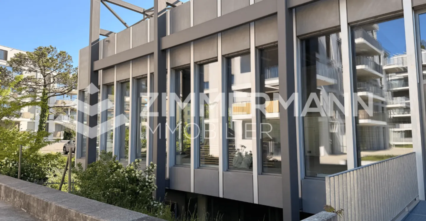 Spazio commerciale al piano terra 525m2 - Foto 6 di 11