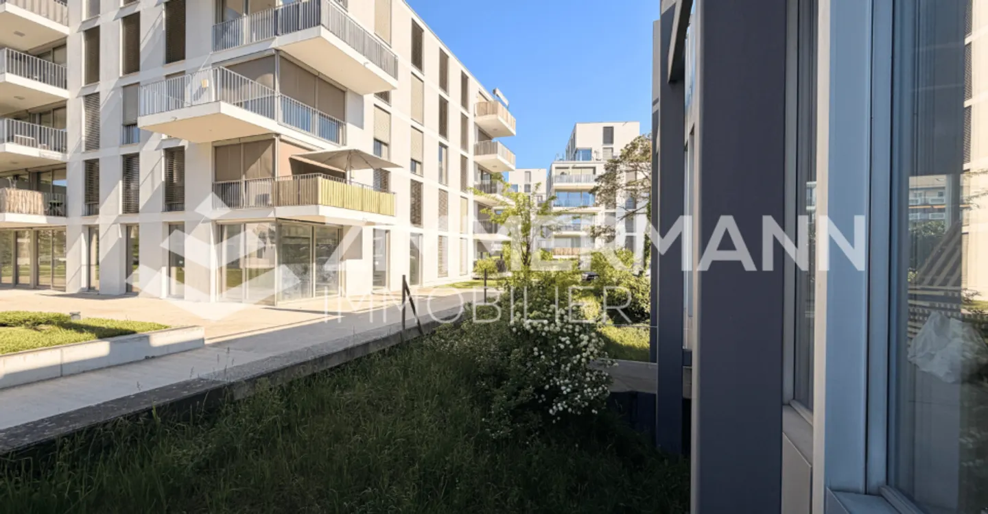 Spazio commerciale al piano terra 525m2 - Foto 7 di 11