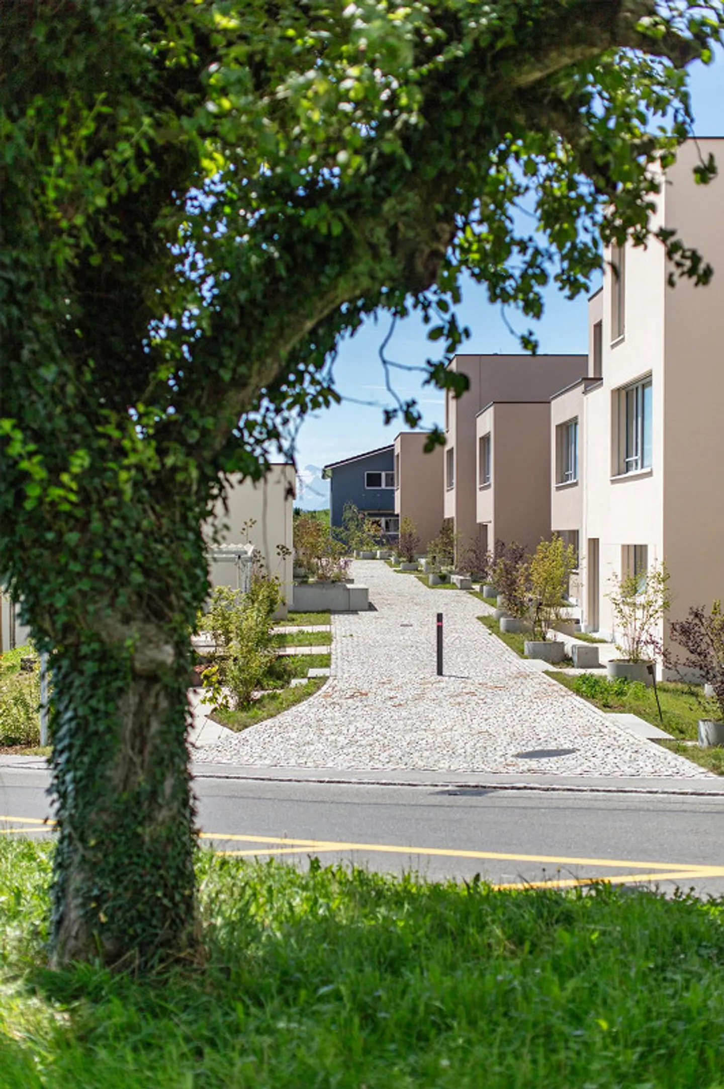 Tschampani - Ampia casa di 5,5 stanze nel verde. - Foto 4 di 4