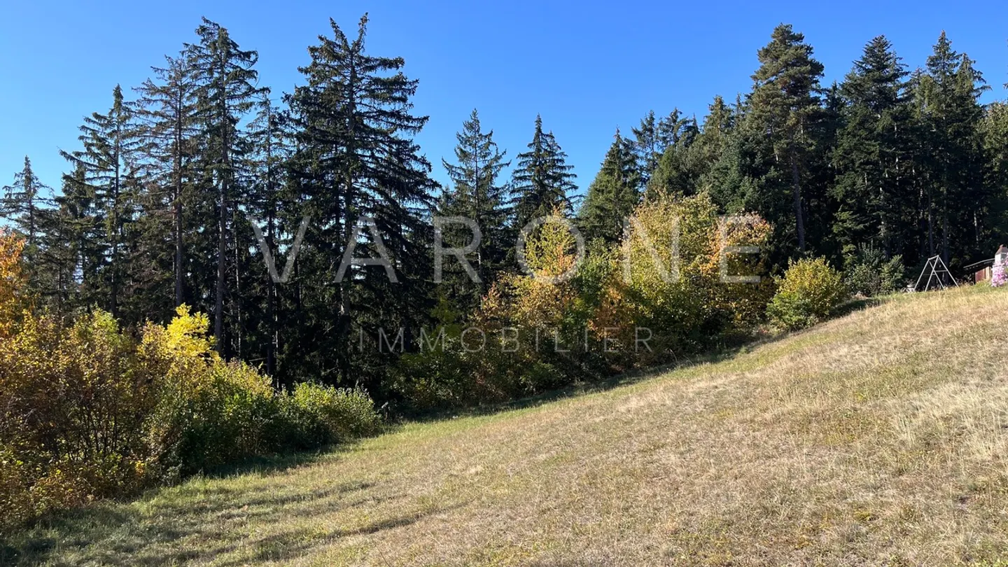 Terrain de Chalet en Nature - Photo 4 sur 7